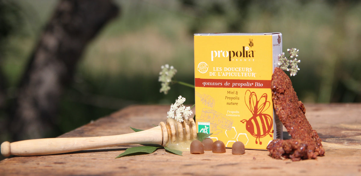 Propolia - Propolis-Gummibonbons Ingwer & Zitrone - 45 g - Motivaufnahme