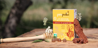 Propolia - Propolis-Gummibonbons Ingwer & Zitrone - 45 g - Motivaufnahme