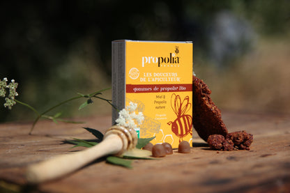 Propolia - Propolis-Gummibonbons Ingwer & Zitrone - 45 g - Motivaufnahme