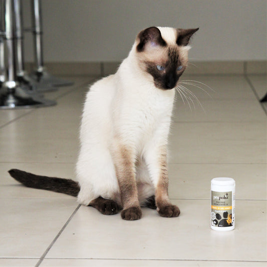 Propolia - Hautpuder für Tiere - 30 g